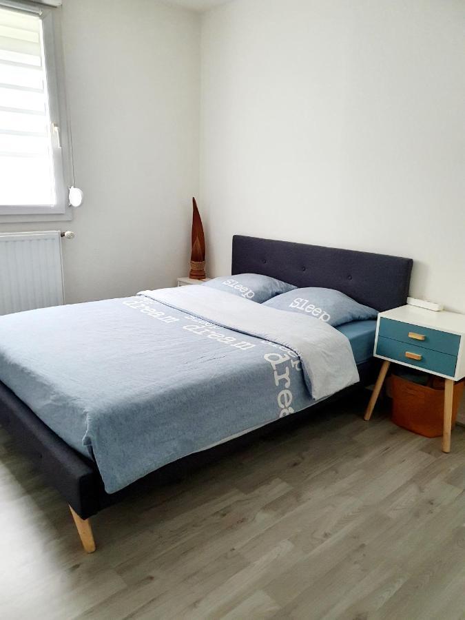 Bel Appartement Cosy Strasbourg Exterior photo
